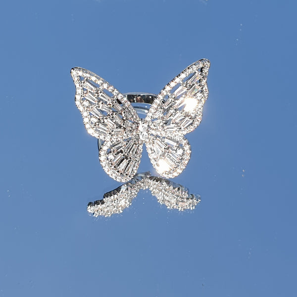 Papillon -uppsättning med ringar och örhängen